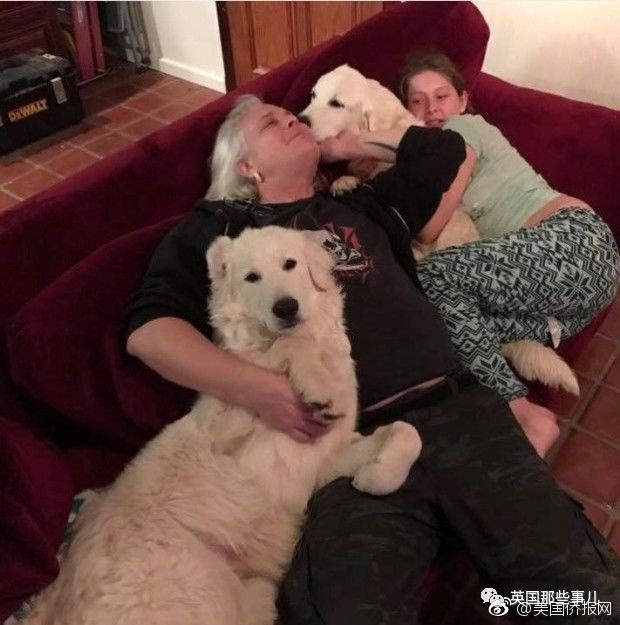 免费 黄色视频观看