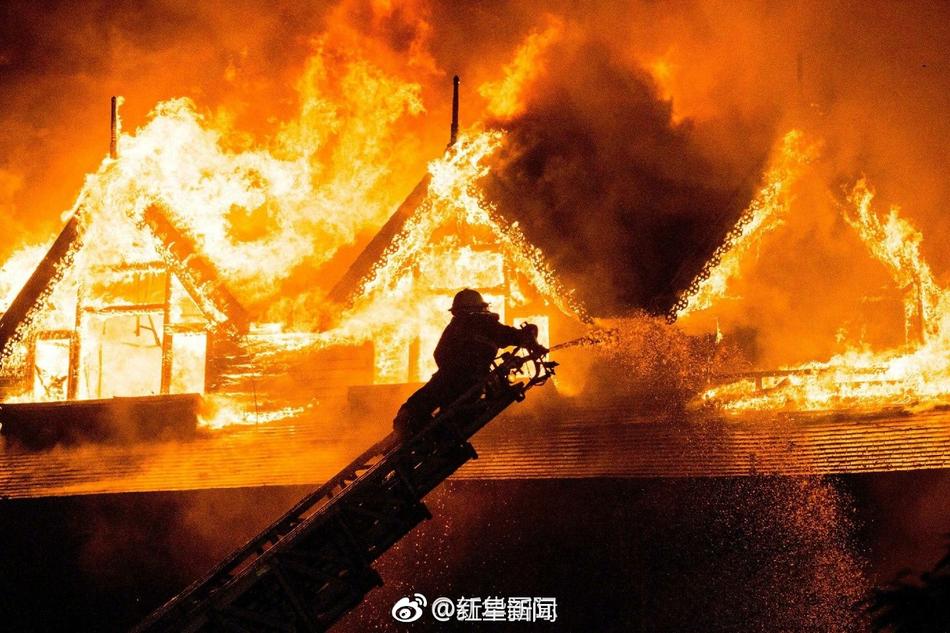 玖草视频
