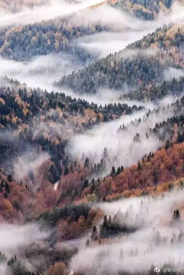 藤下梨花