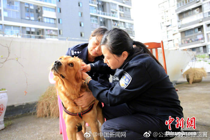 欧美    ZZZ物交