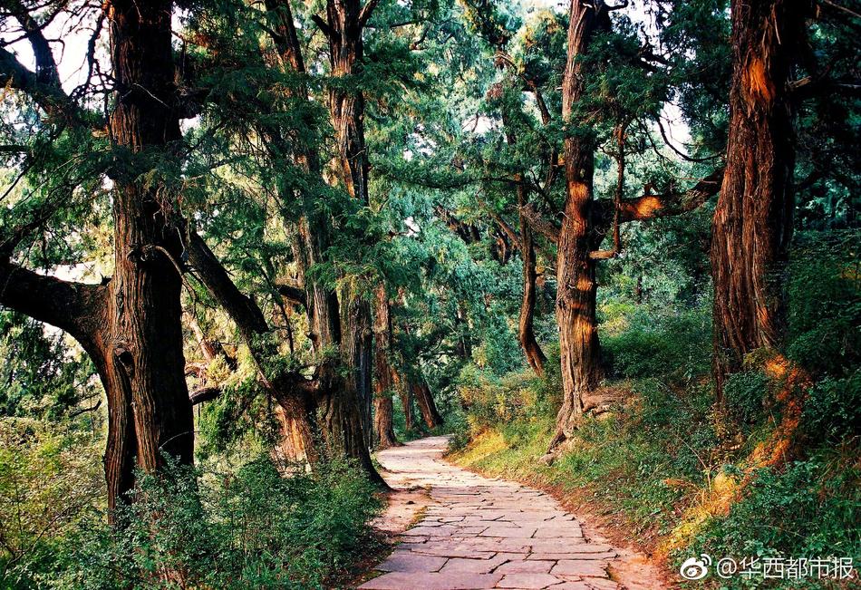 禁漫天堂