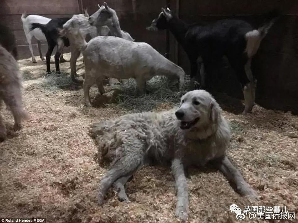 亚洲性爱网站