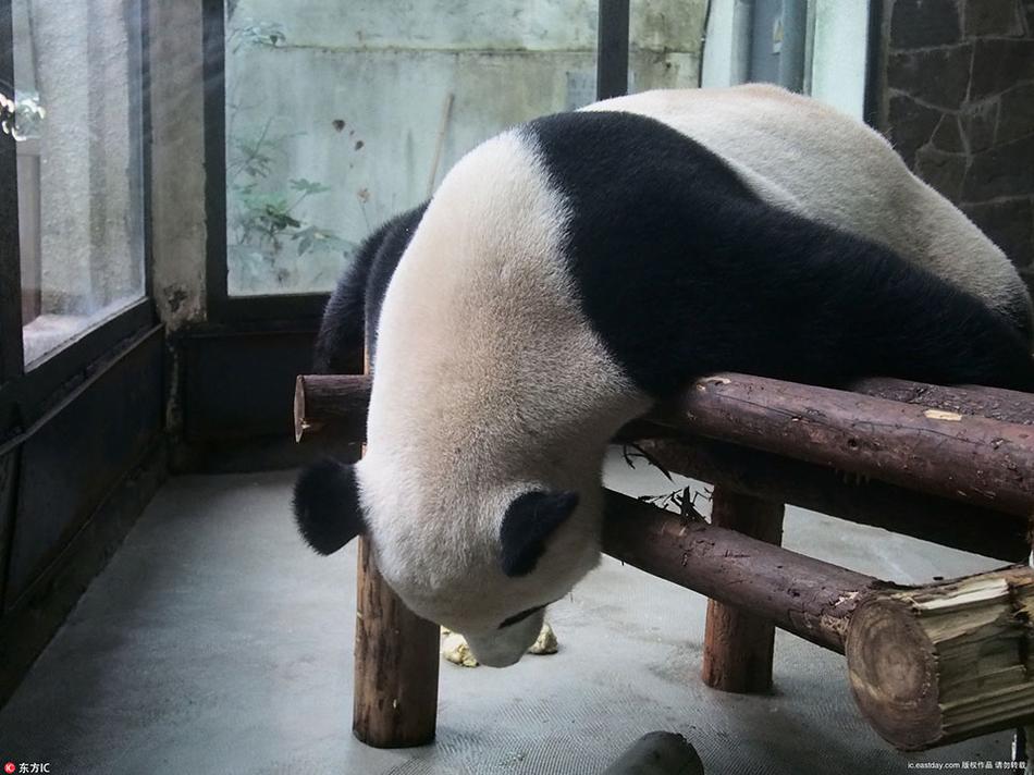 女人与拘做受免费观看