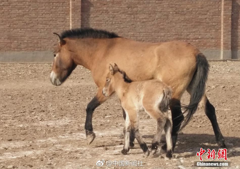 亚洲精品免费看