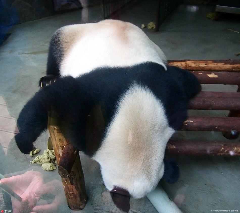 一级肉体全黄裸片