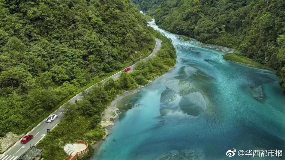 台湾梦梦
