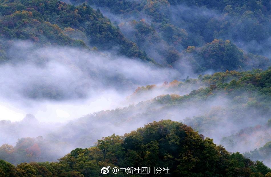 精品国产乱码久久久兰草影视
