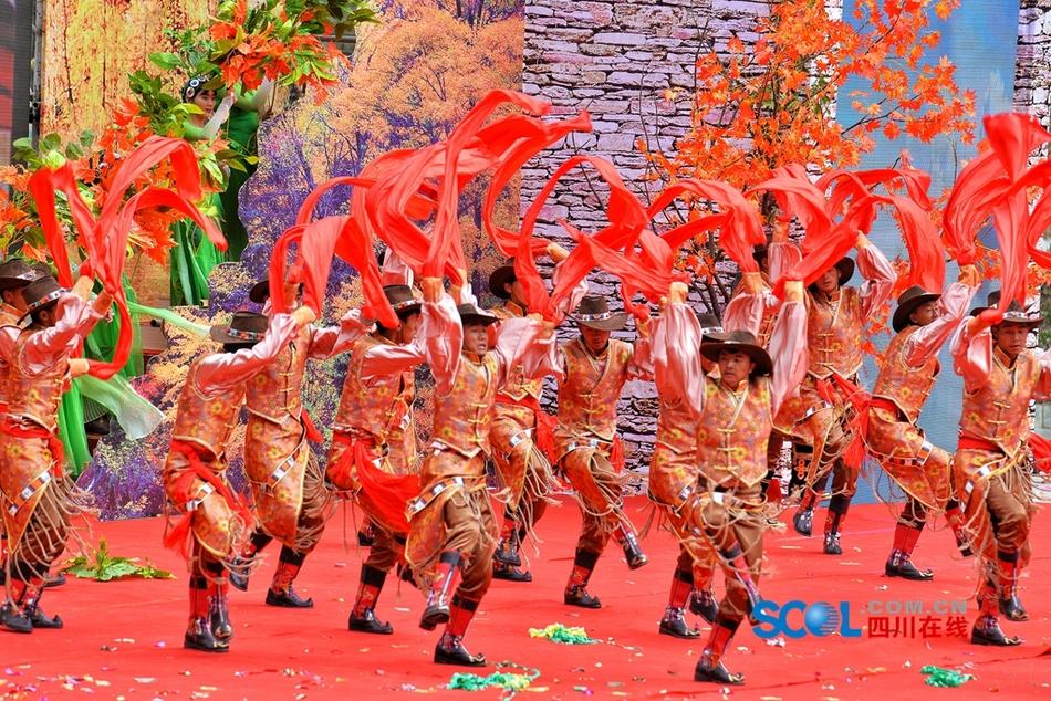 網紅押尾貓