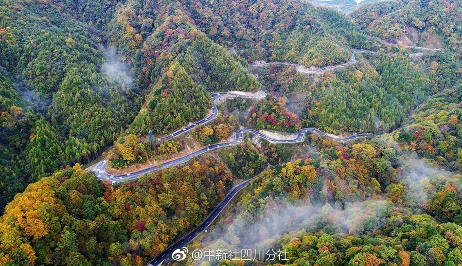 香澄遙
