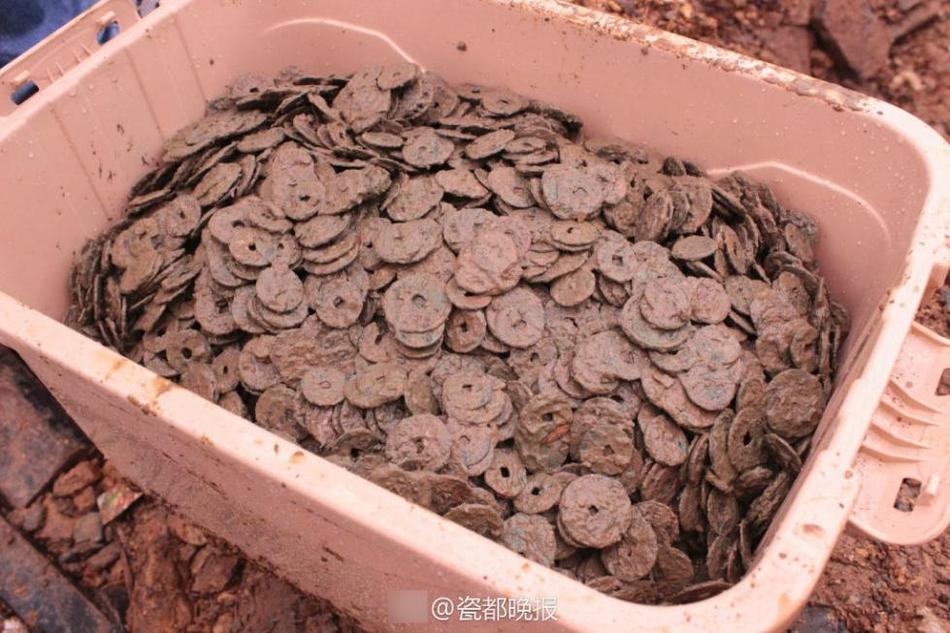 色情 免费 电影