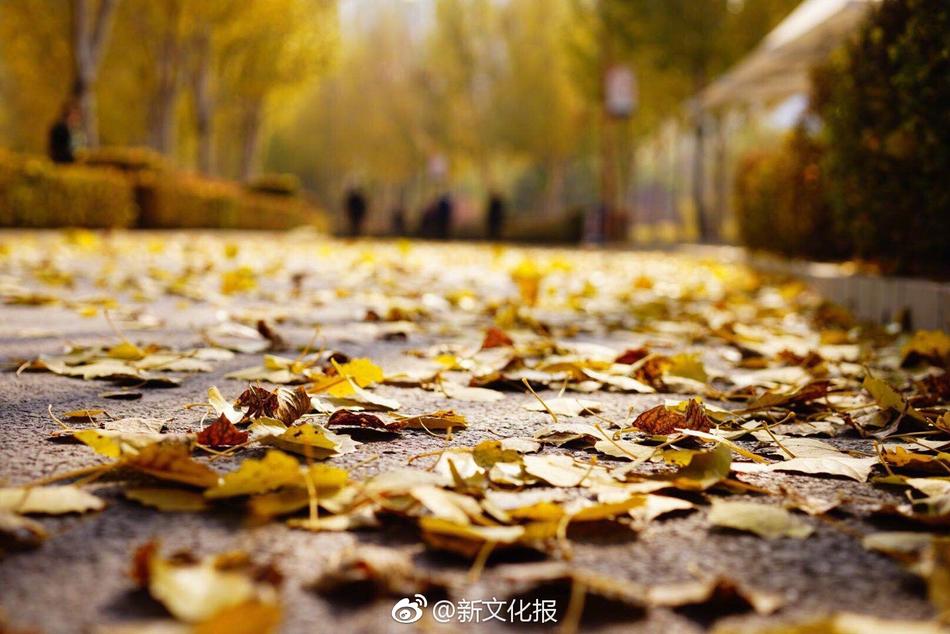 男生和女生靠逼