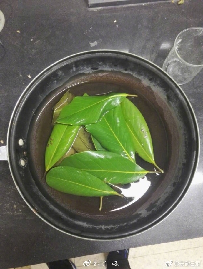 国产熟女老太老妇