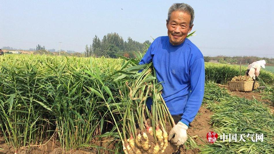亚洲天堂