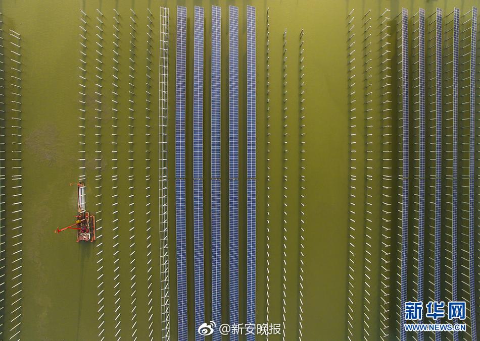 小毛片