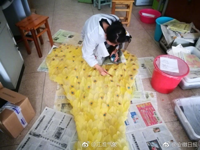 麻豆一级片