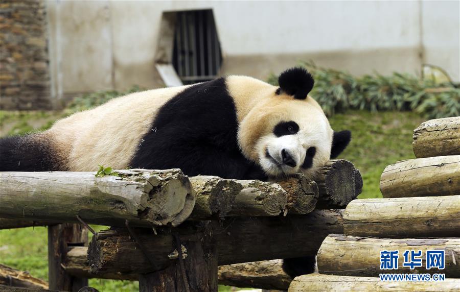 三年中文在线观看免费大全