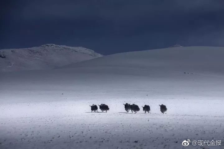 欧洲国产黄色