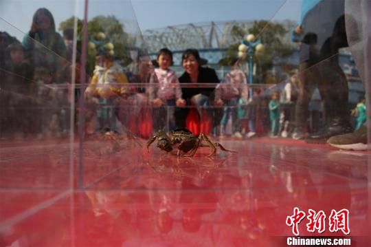 成人 片 在线 观看