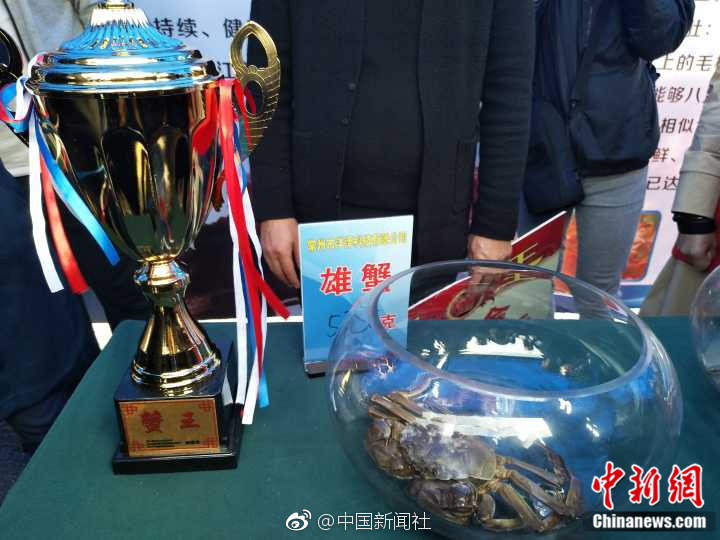 久久精彩视频