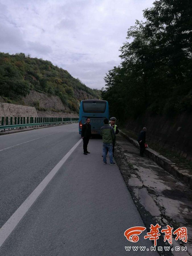 老人性交视频