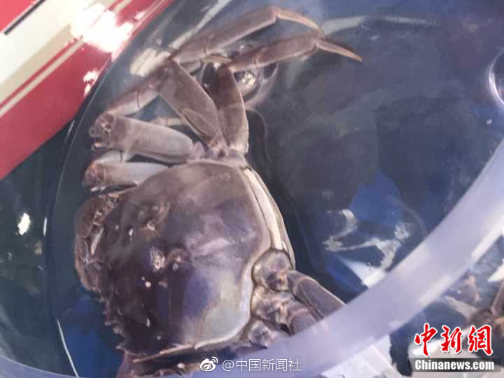 国产做爰XXXⅩ性视频国