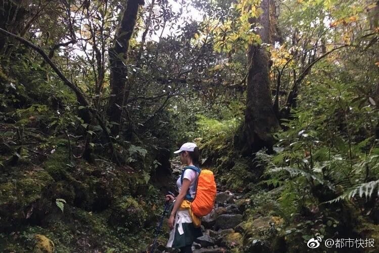 91在线无码精品秘 国产软件