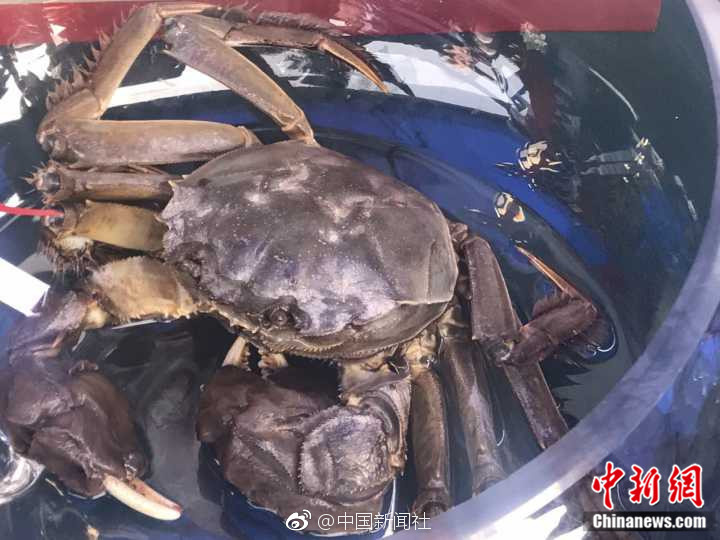 精品国产18久久久久久怡红
