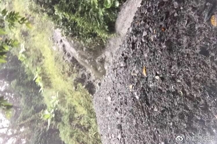 徐淑媛