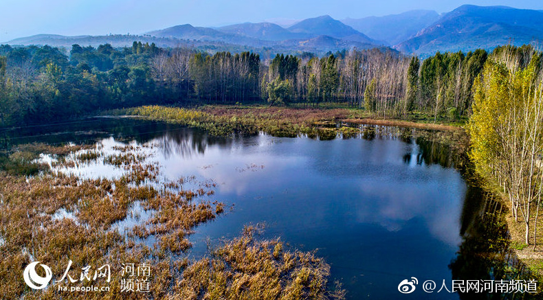 无码熟妇视频在线