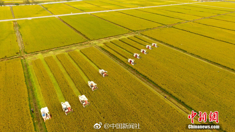 小周迅