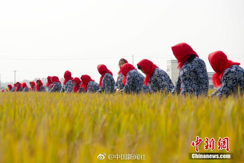 欧美黄色美女影视