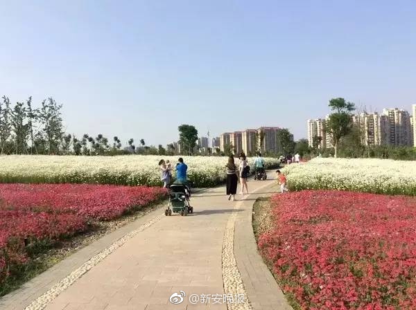 李宗瑞精国产精品