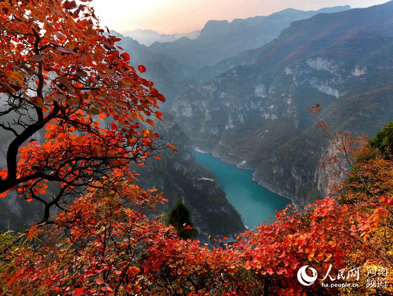 Chinese Free Xxxx Hd8