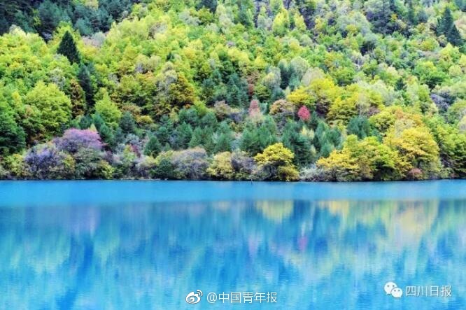 Xxxx免费色视频