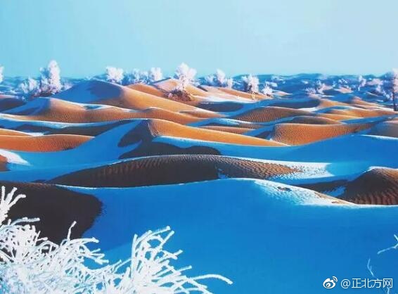天美果冻星空大象视频