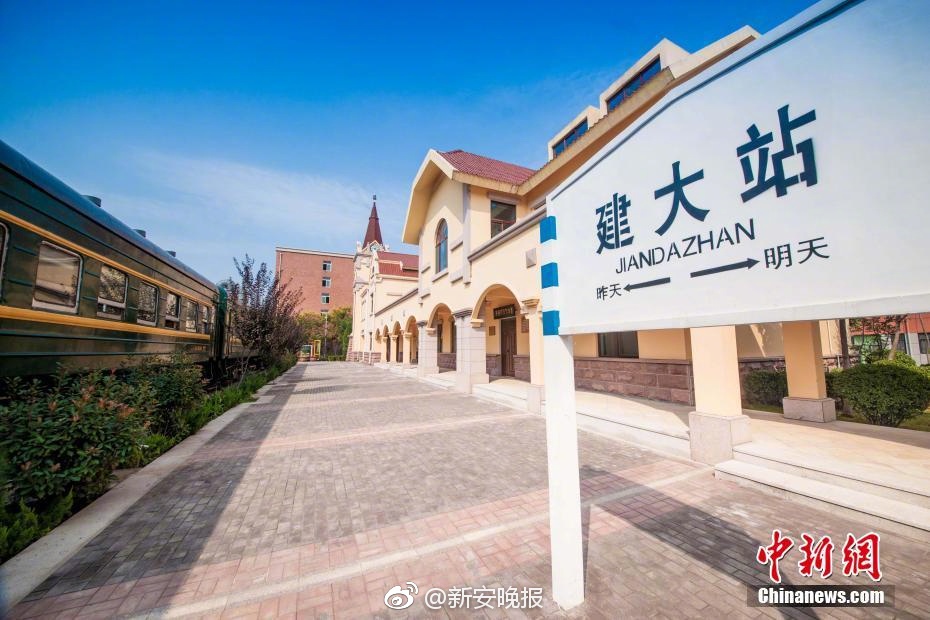 老女人性A视频国产