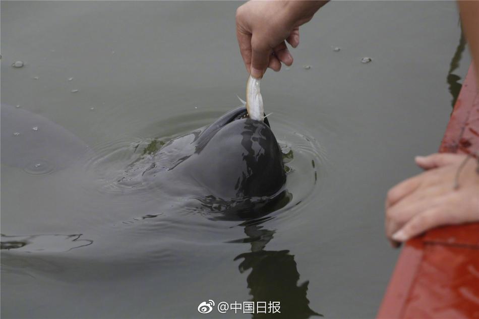 Lubuntu在线观看免费版