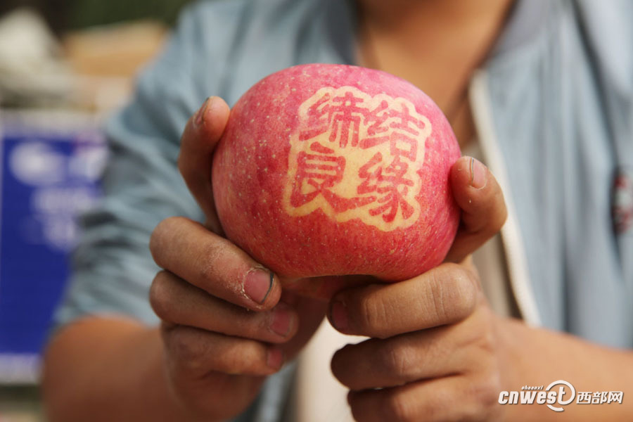 新疆福彩时时彩开奖结果查询