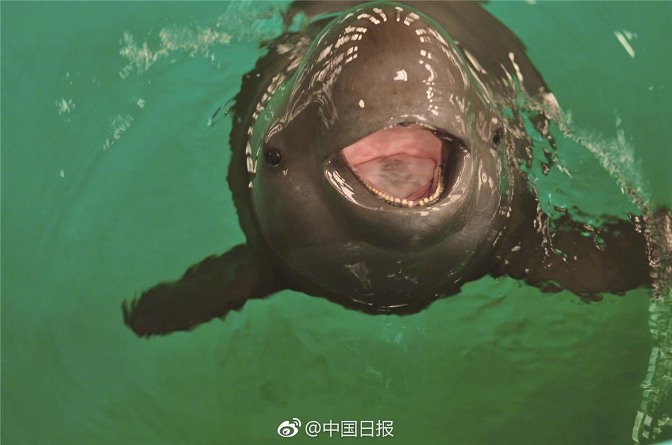 爱情岛网站