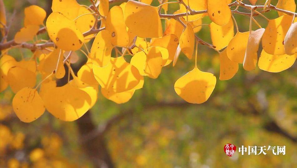 亚洲精品一区二区三区四区高清