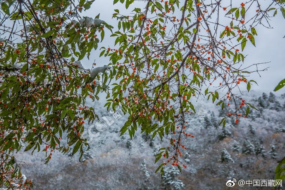 H漫无码动漫Av动漫在线播放