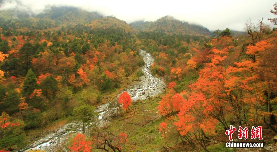 91九色  PORNY永久地址
