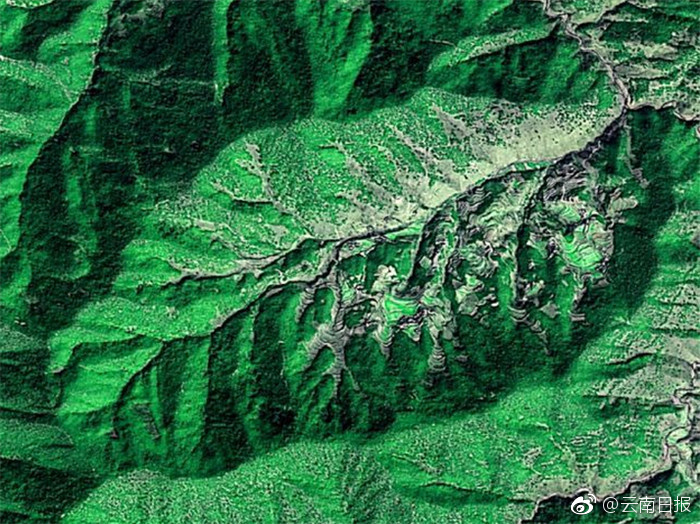 被夫の上司に犯波多野结衣