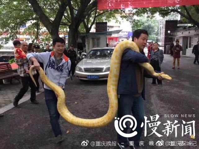 精品熟妇大屁股