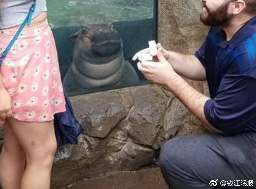 色戒在线看免费高清完整版电影