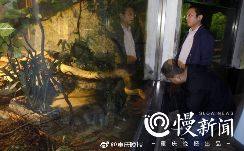 大槻響無碼
