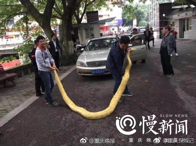 中国丰满熟女裸体Hd
