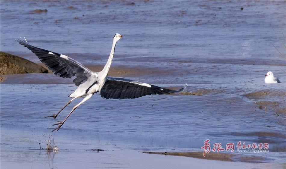 小三的奶又大又嫩又紧
