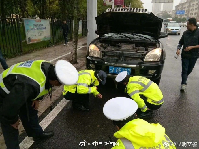 免费 下载 成人 电影