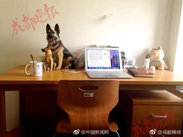 台灣熟女偷情